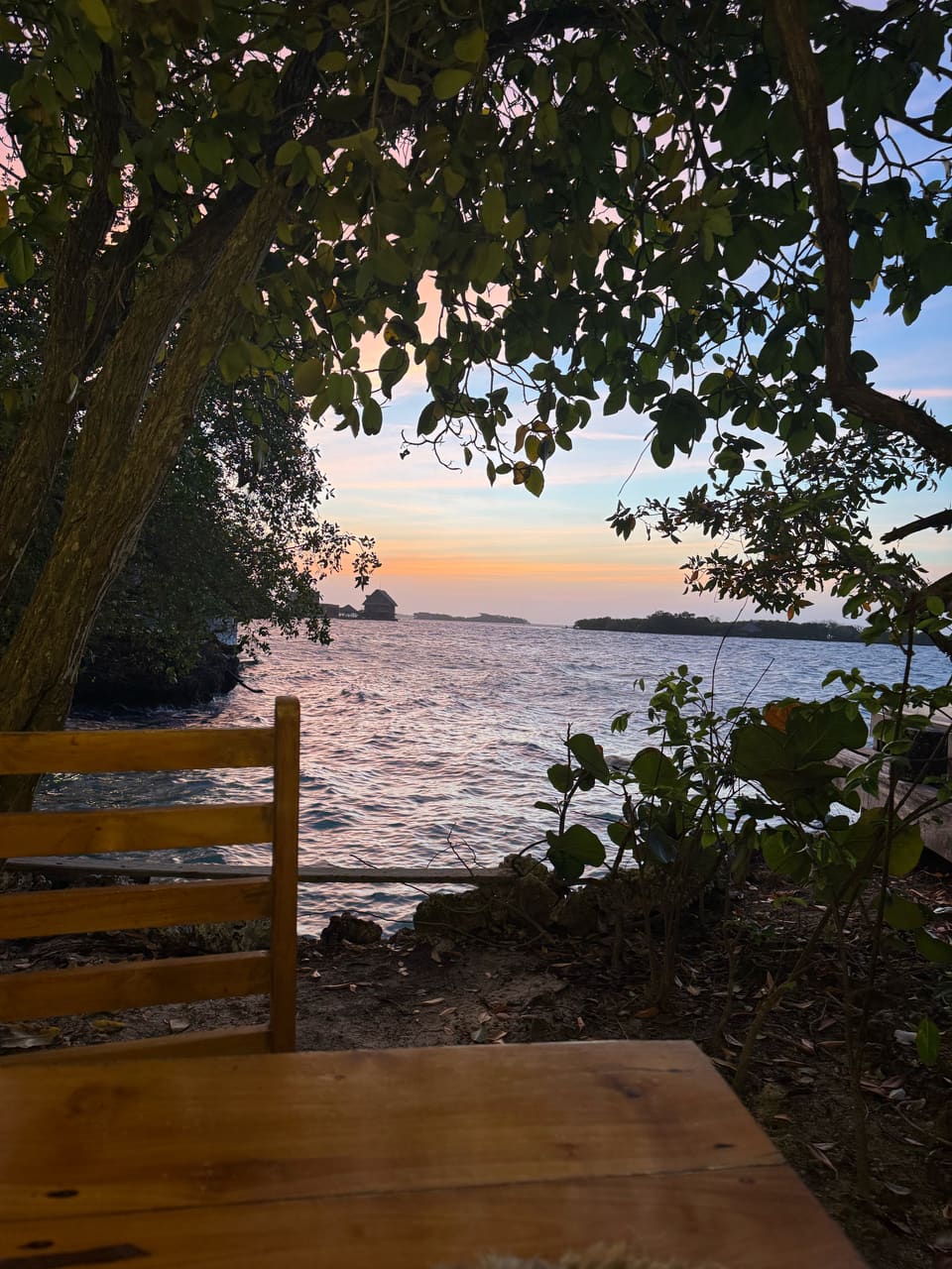 Empty wooden bench under trees facing calm water and a pastel orange-and-blue sunset