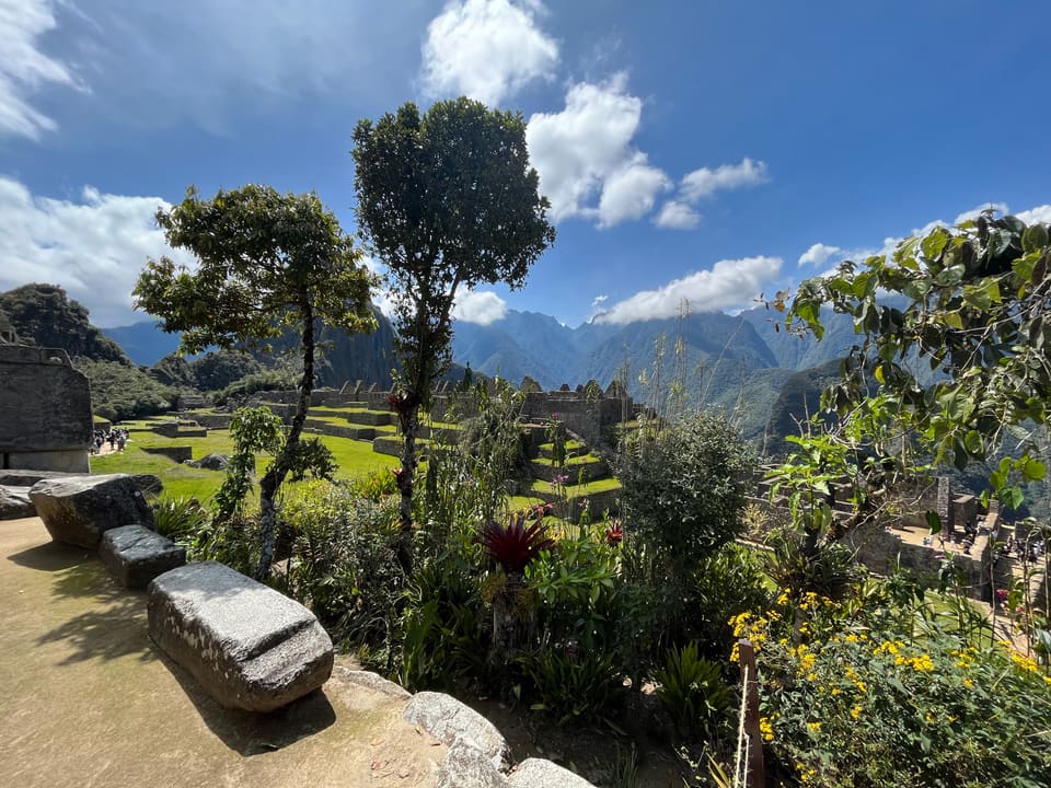 Stone ruins and green terraces of Machu Picchu under a bright blue sky, framed by trees and Andean peaks